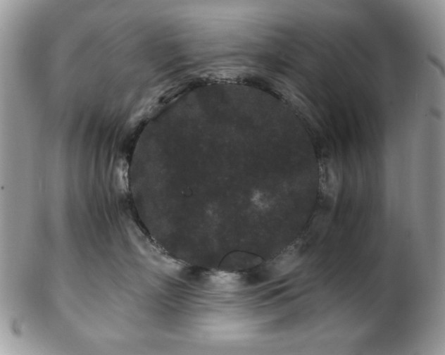 X0000102800718200808181201