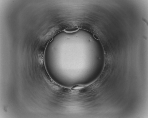 X0000102800719200808181200