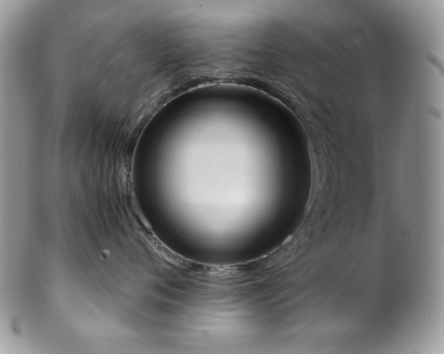X0000102800720200808181200