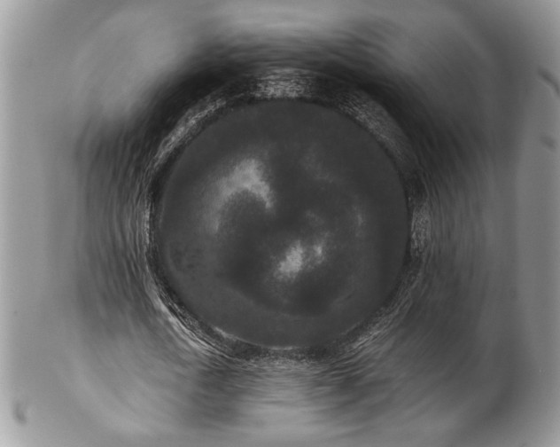 X0000102800722200808181200