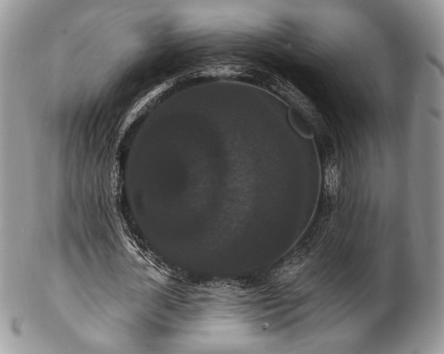 X0000102800724200808181200