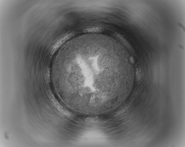 X0000102800725200808181200