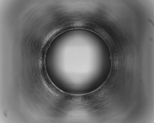 X0000102800728200808181200