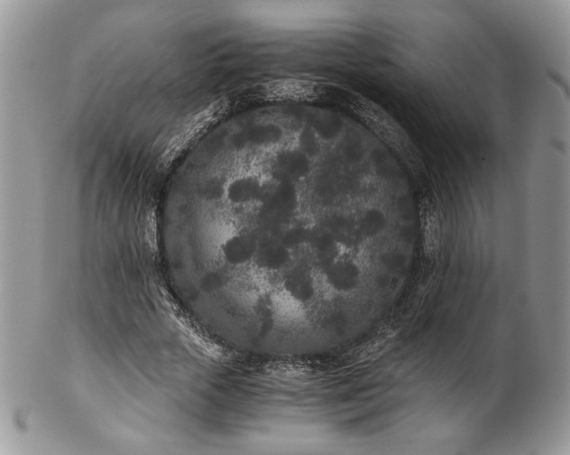 X0000102800729200808181200