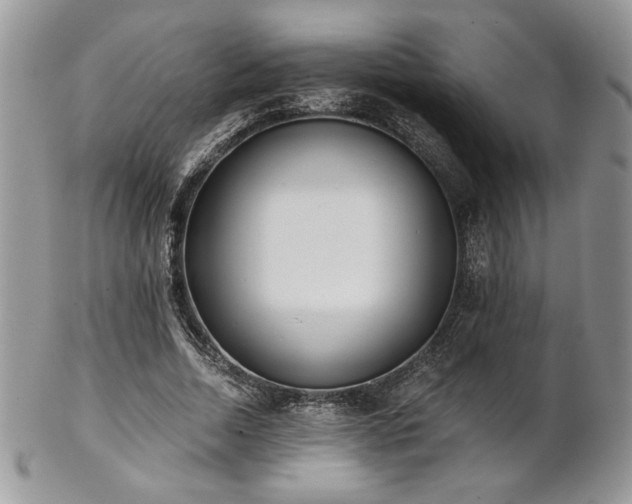 X0000102800730200808181200