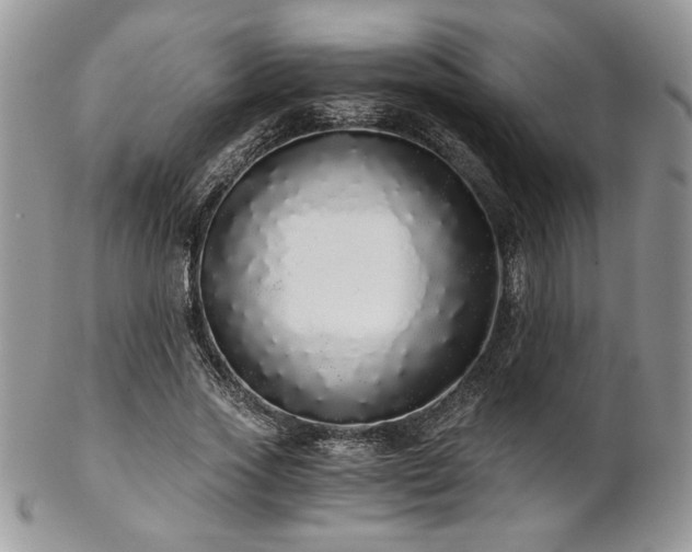X0000102800733200808181200