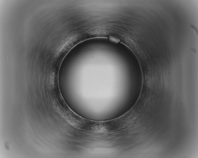 X0000102800735200808181200