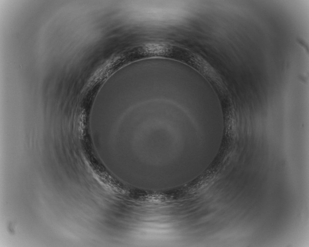 X0000102800736200808181200