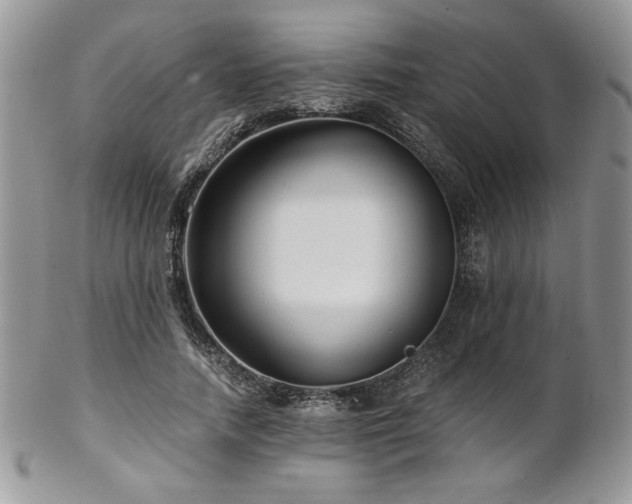 X0000102800738200808181200