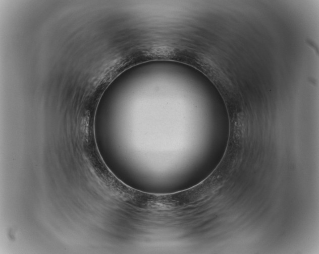 X0000102800739200808181200