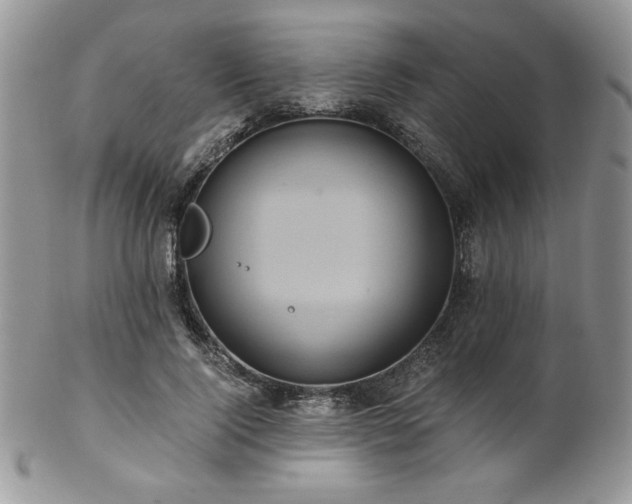 X0000102800740200808181200