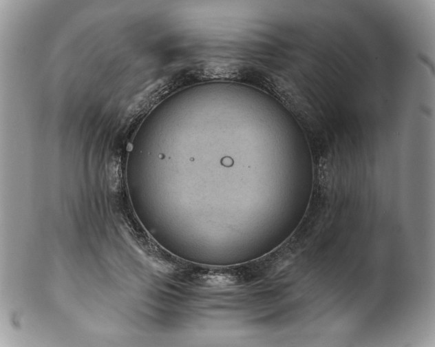 X0000102800741200808181200