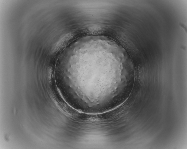 X0000102800742200808181200