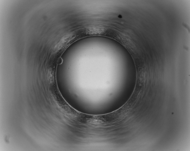 X0000102800743200808181200