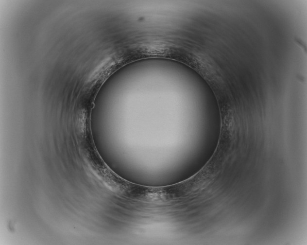 X0000102800744200808181200