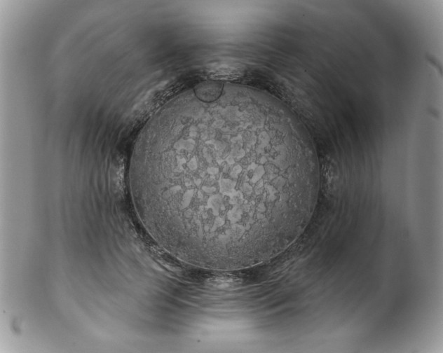 X0000102800745200808181200