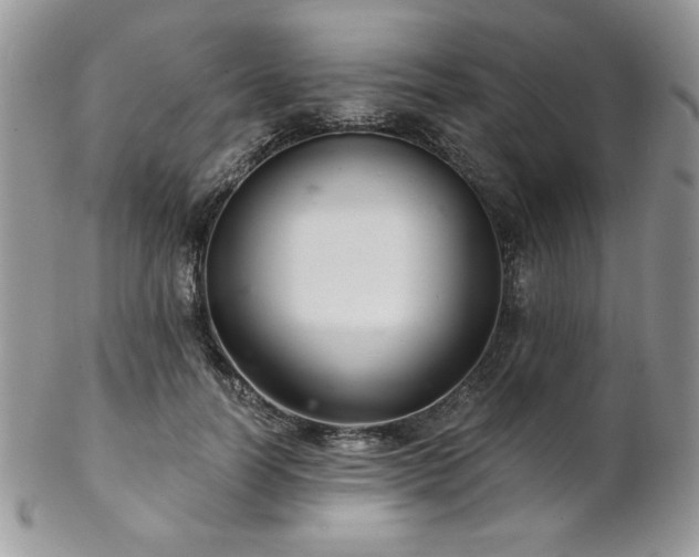 X0000102800746200808181200