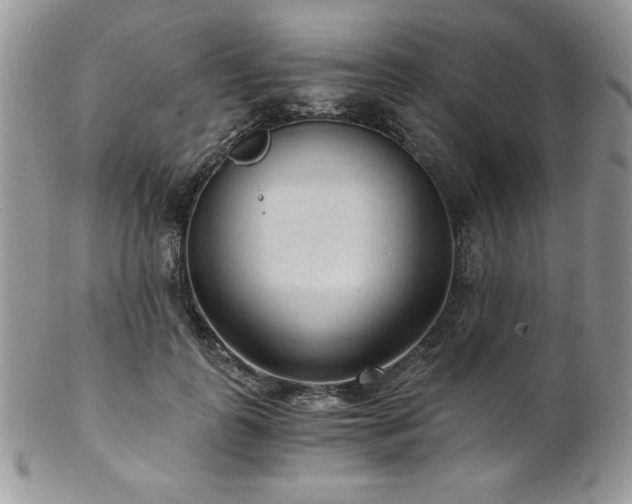 X0000102800747200808181200