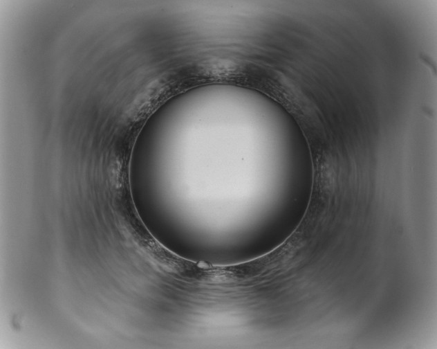X0000102800750200808181200