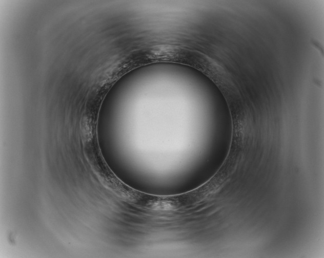 X0000102800751200808181200