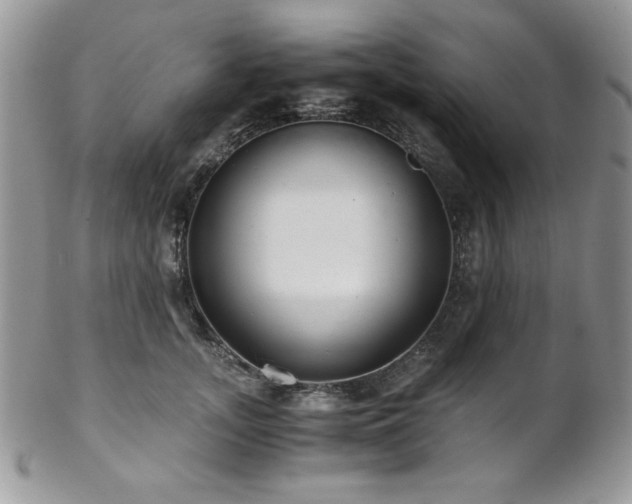 X0000102800755200808181200