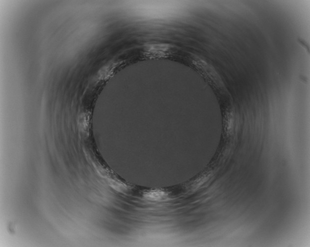 X0000102800759200808181200