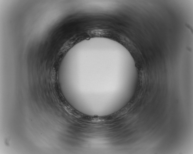 X0000102800760200808181200