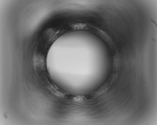X0000102800761200808181200
