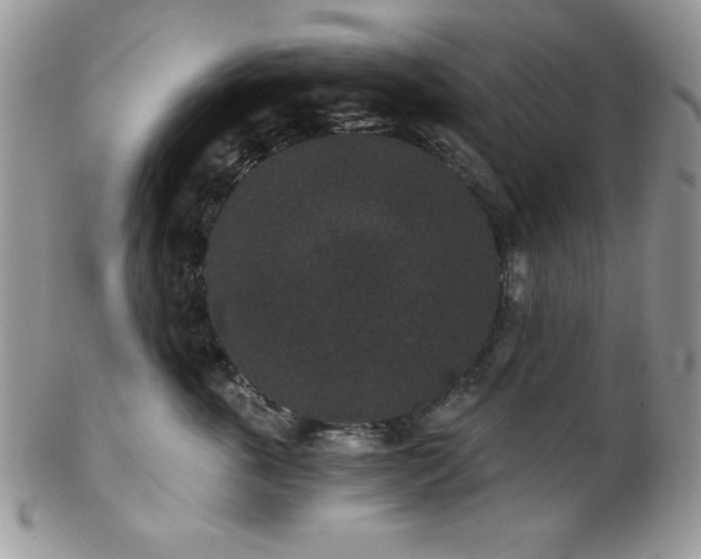 X0000102800763200808181200
