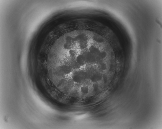 X0000102800765200808181200