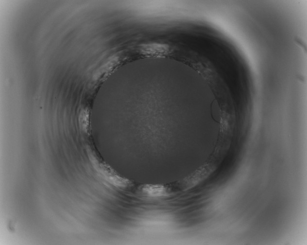 X0000102800767200808181200