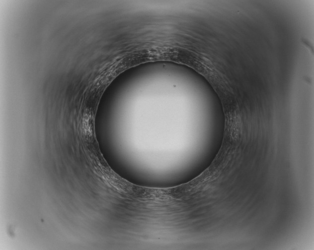 X0000102800770200808181200