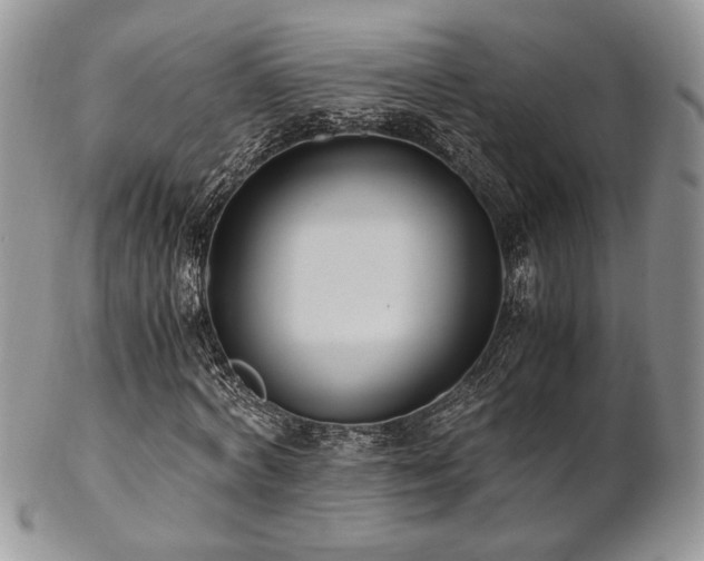 X0000102800772200808181200
