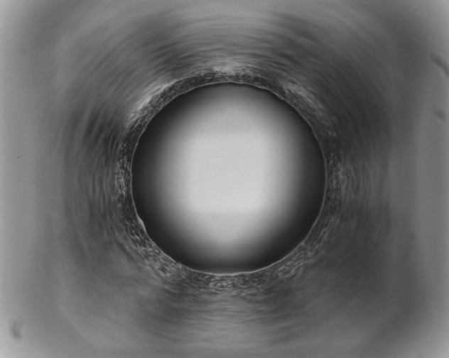 X0000102800776200808181200
