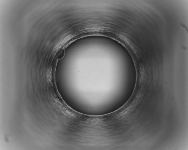 X0000102800778200808181200