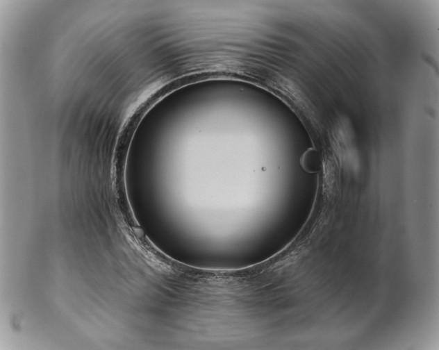 X0000102800780200808181200