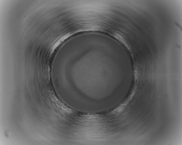 X0000102800781200808181200