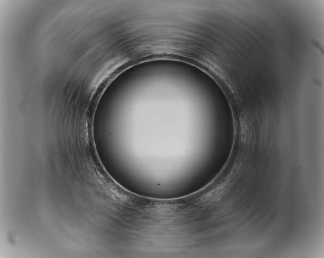 X0000102800782200808181200