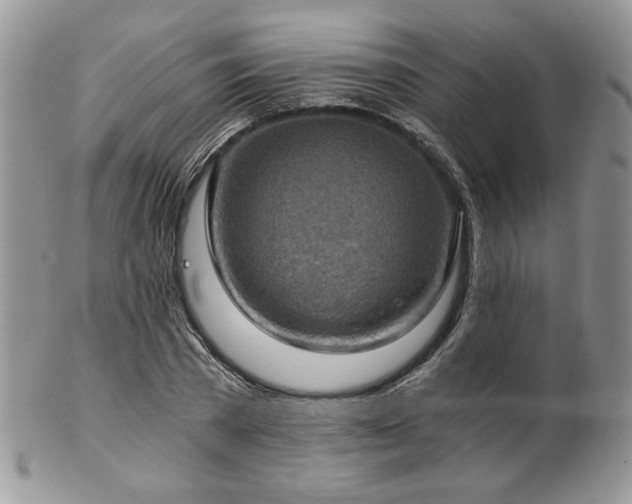 X0000102800785200808181200