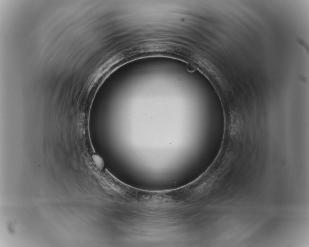 X0000102800786200808181200
