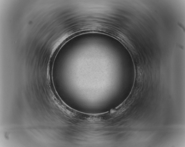 X0000102800788200808181200