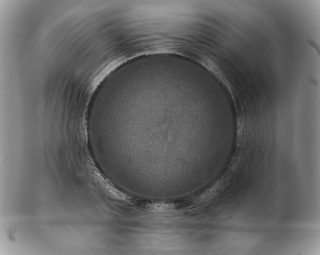 X0000102800789200808181200