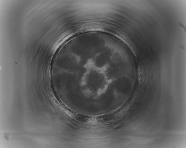 X0000102800790200808181200