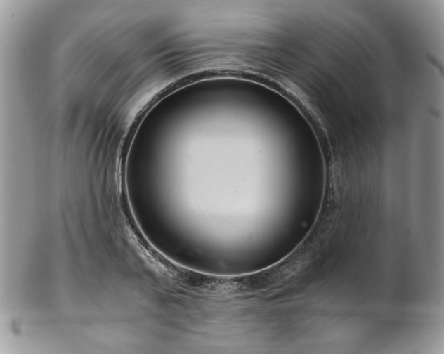 X0000102800791200808181159