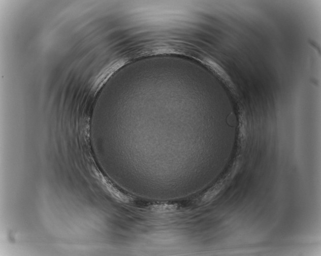 X0000102800793200808181159