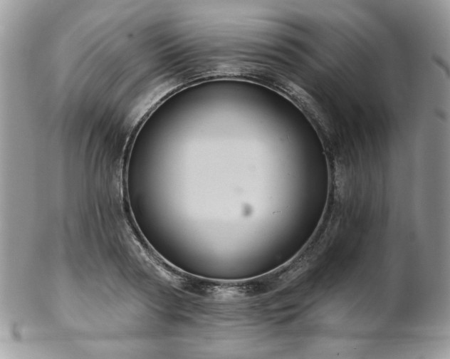X0000102800794200808181159