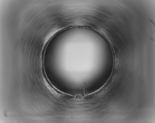 X0000102800795200808181159