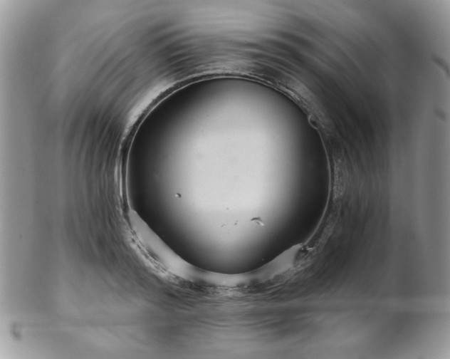 X0000102800796200808181159