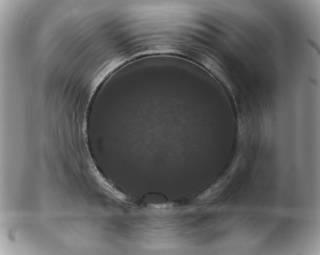 X0000102800797200808181159