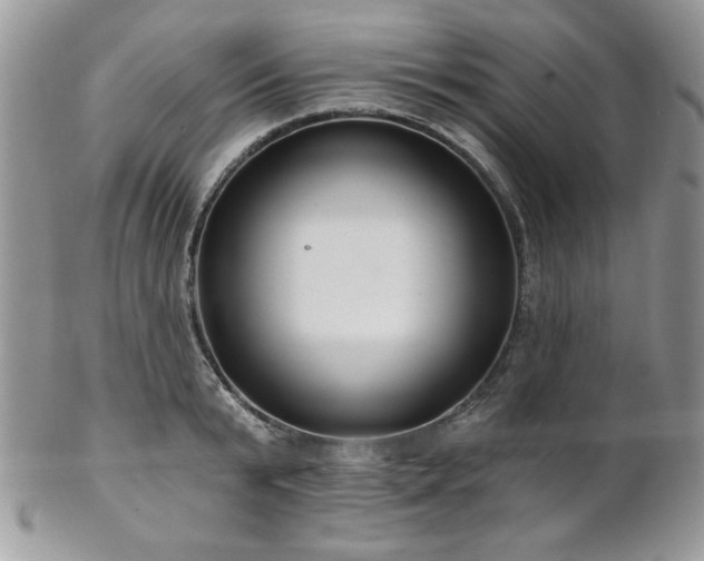 X0000102800799200808181159